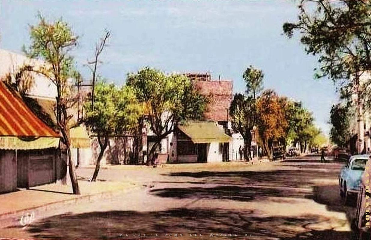 Colomb Bechar 070.jpg
